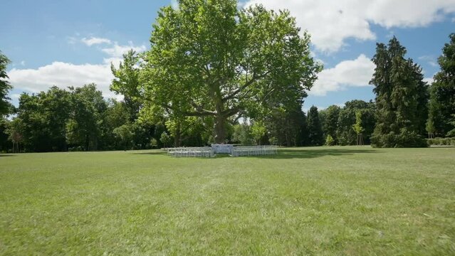 Empty Wedding Location under a big and isolated Tree in a Park on a sunny Day