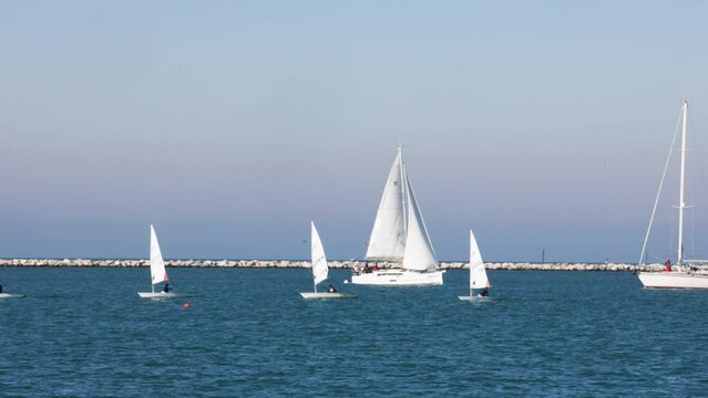 Dinghy small sailboat regatta competition on windy sea, watersport team club