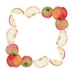 Hand drawn watercolor apple fruits, ripe full and slices, red and green. Square frame composition. Isolated object on white background. Design for wall art, wedding, print, fabric, cover, card.