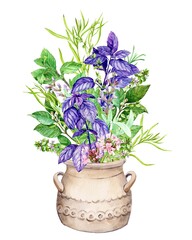 Bouquet of rosemary, marjoram, sage and thyme, basil, mint, tarragon. Composition with a bouquet of fresh greenery in a ceramic pot on a white background. Herbs, spices for Italian cuisine.