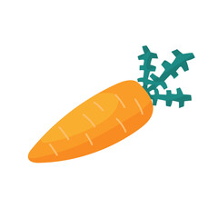 Carrot. Vector cartoon illustration. Isolated on white.