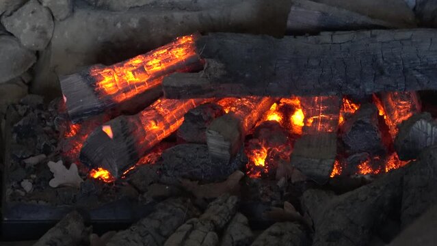 Recently lit fire with logs of flaming wood. Burned logs of wood