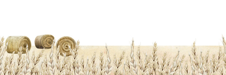 Watercolor Happy Shavuot greeting banner template with copy space for text. Wheat field with rolled hay harvest illustration isolated on white background. Horizontal Jewish holiday border © Elena Malgina