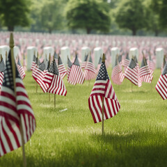 display of flags in the streets and cemeteries during Memorials Day. making with AI