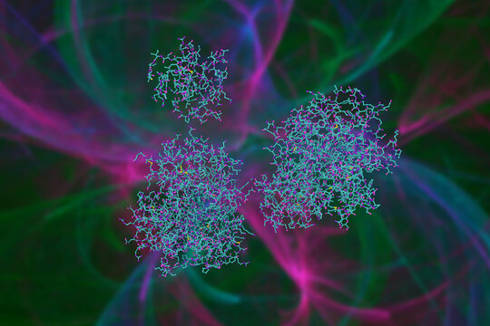 Human recombinant Gla-domainless prothrombin mutant. Molecular model. Rendering based on protein data bank entry 4hzh. Scientific background. 3d illustration