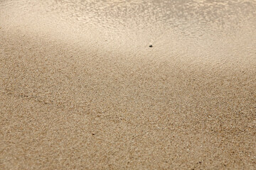Fototapeta na wymiar Nahaufnahme der nassen Sandstruktur am sizilianischen Strand.