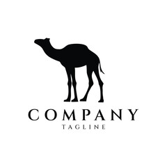 Camel logo design vector illustration