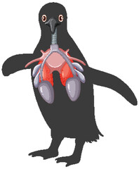 Penguin respiratory system cartoon