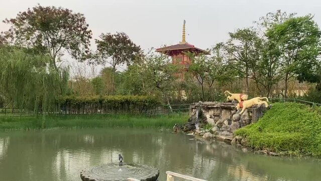 Traditional Japanese Garden at Eco Park Kolkata with beautiful lake and Pagoda at a distance.