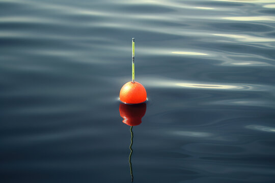 red and white floating fishing bobber with white fish line on dark blue  water Stock Photo - Alamy