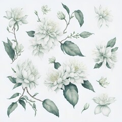 Illustration of jasmine flowers in assorted watercolors as a collage. AI Generated illustrations