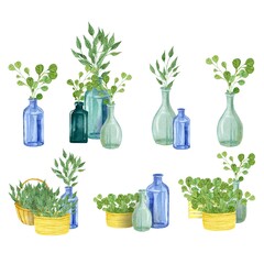 watercolor hand drawn isolated set, twigs, plants, leaves, grass, glass vases and bottles, wood boxes and baskets