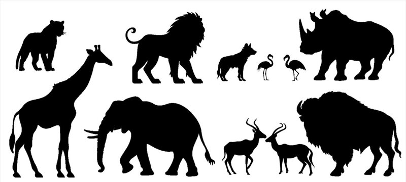 Africa Safari animals Set Collection Symbols Icons for logo - Black silhouette of wild animals, isolated on white background (Generative Ai)
