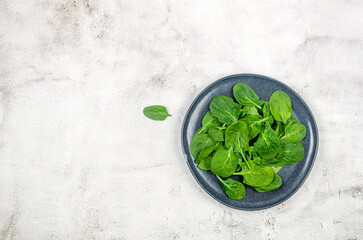 Fototapeta na wymiar Fresh spinach leaves in plate on a gray table