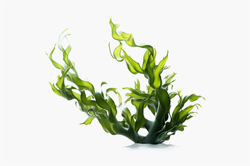 Kelp seaweed or kelp seedling, highlighted on a white background. Generative AI illustration - obrazy, fototapety, plakaty