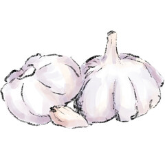 Fresh Garlic Watercolor Illustration