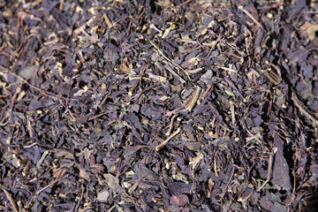 
Purple basil tea is preferred because it strengthens the metabolism and makes the intestines work better
