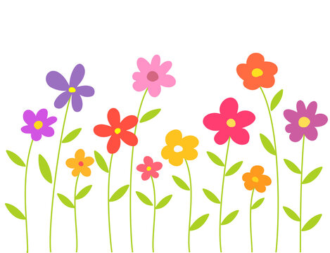 Colorful flowers isolated on transparent  background