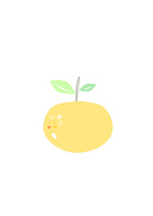 colorful fresh citrus vector icon