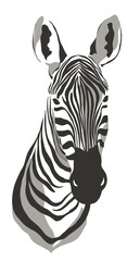 zebra safari animal jungle park tropic Africa savanna graphic art line print clipart scrapbooking sketch wild nature  