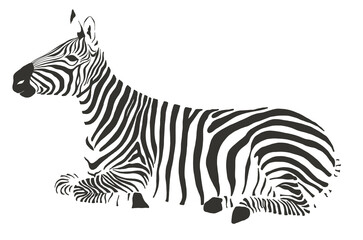 Obraz na płótnie Canvas zebra safari animal jungle park tropic Africa savanna graphic art line print clipart scrapbooking sketch wild nature 