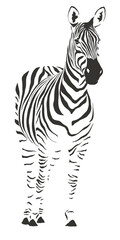 Fototapeta na wymiar zebra safari animal jungle park tropic Africa savanna graphic art line print clipart scrapbooking sketch wild nature 
