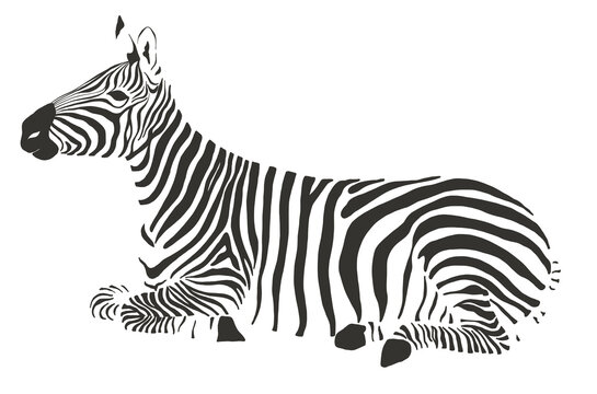 zebra safari animal jungle park tropic Africa savanna graphic art line print clipart scrapbooking sketch wild nature  