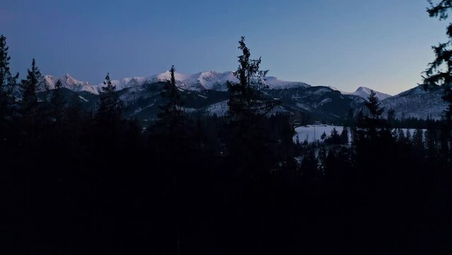 Blue Hour Drone Aerial Reveal of Mountain Ranges behind trees
