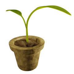 Plant in pot 3D Illustration
