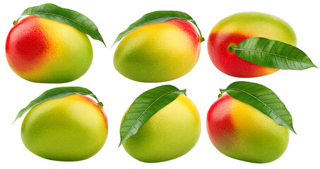 Mango isolated on white background, full depth of field