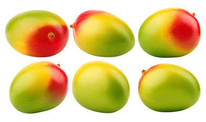 Mango isolated on white background, full depth of field