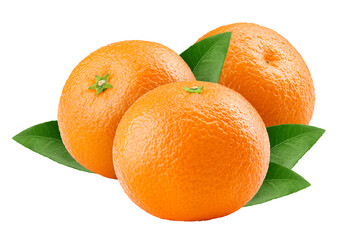 mandarin, tangerine, isolated on white background, full depth of field