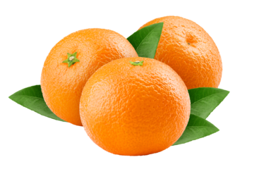 mandarin, tangerine, isolated on white background, full depth of field