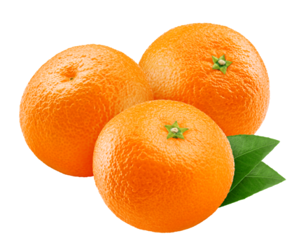 mandarin, tangerine, isolated on white background, full depth of field