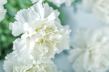 White carnation bouquet closeup
