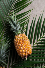 Fresh pineapple with tropical leaves on gray background.