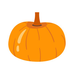 Pumpkin Cute Autumn Cozy Object