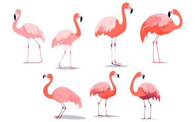 set vector collection illustration of tropical pink flamingo isolated on white background
