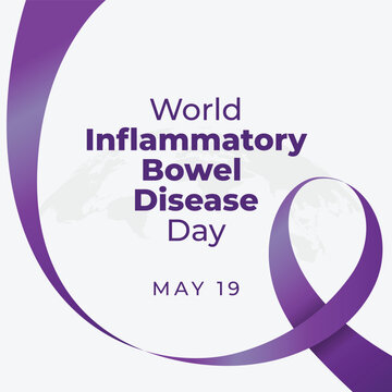 world ibd day design template for celebration.  World Inflammatory Bowel Disease Day design template. violet ribbon vector. ribbon illustration. world ibd day. 
