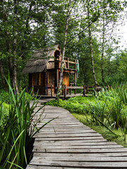 A picturesque old wooden hunting or fishing lodge in a swamp. Wooden bridge leading to the house. Vertical. High marsh carex. No people. The concept of hunting and fishing in nature