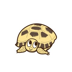 　【リクガメイラスト】ロシアリクガメ/ホルスフィールドリクガメ/ヨツユビリクガメ