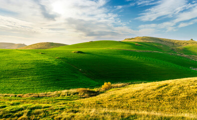 Obraz premium countryside green field during sunrise of sunset in warm light. beautiful spring landscape in the mountains. grassy field and hills. rural scenery