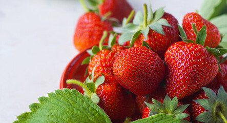 Strawberries in a bowl on a white background