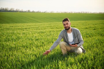 Naklejka na ściany i meble Sitting, holding notepad and checking quality of wheat. Handsome young man is on agricultural field