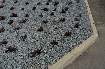 in the middle of the road leading to the residential area, the police and the traffic office installed a red plastic retarder. raised square made of rubber beveled on the sides, arrow, triagle