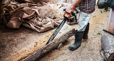 Chainsaw. Close-up of Lumber workers using woodcutter sawing chain saw