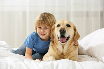 Cute little child with Golden Retriever on bed at home. Adorable pet