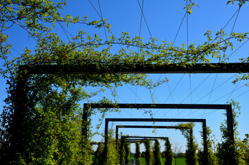 entrance to the park is enhanced by metal trellises from galvanized gates connected by cables,...