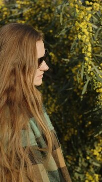 A girl with long hair by a Mimosa tree sniffs Flowers. Vertical video.