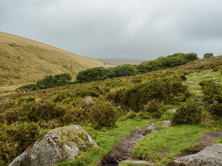 Fototapeta na wymiar Dartmoor landscape